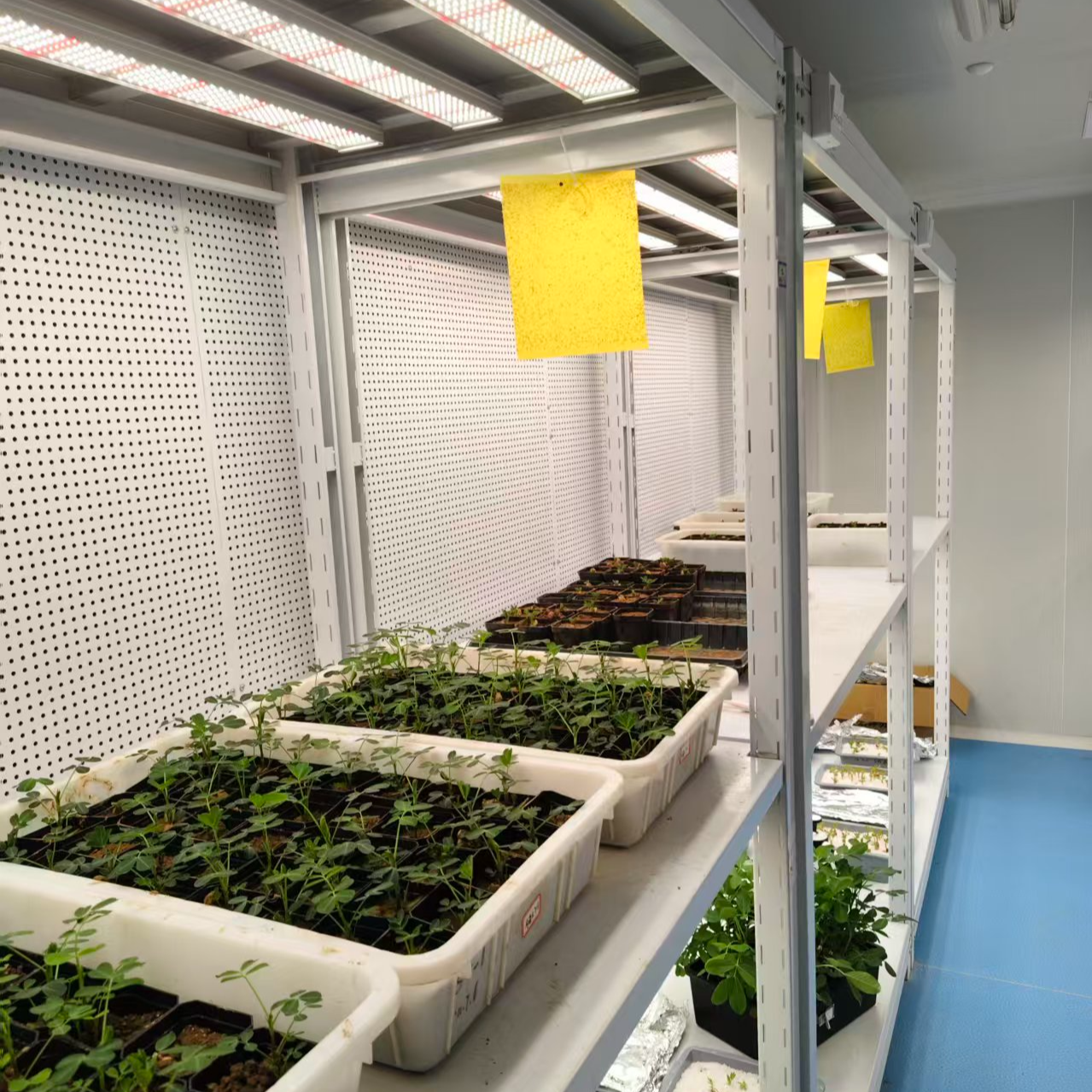 植物培养室