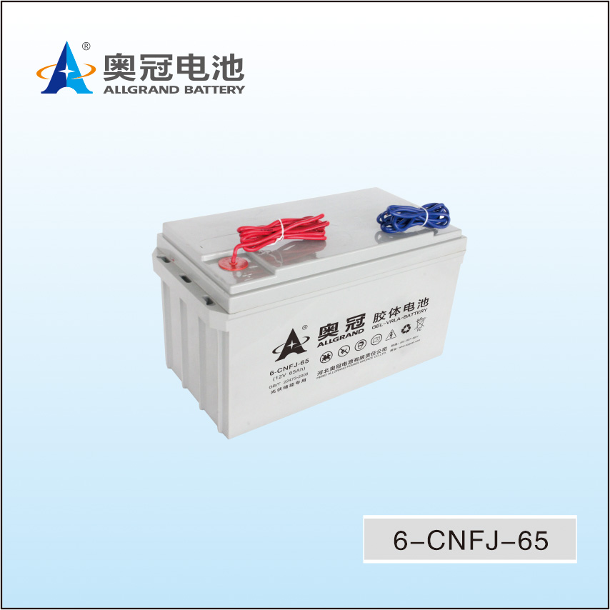 太阳能储能电池6-CNFJ-65