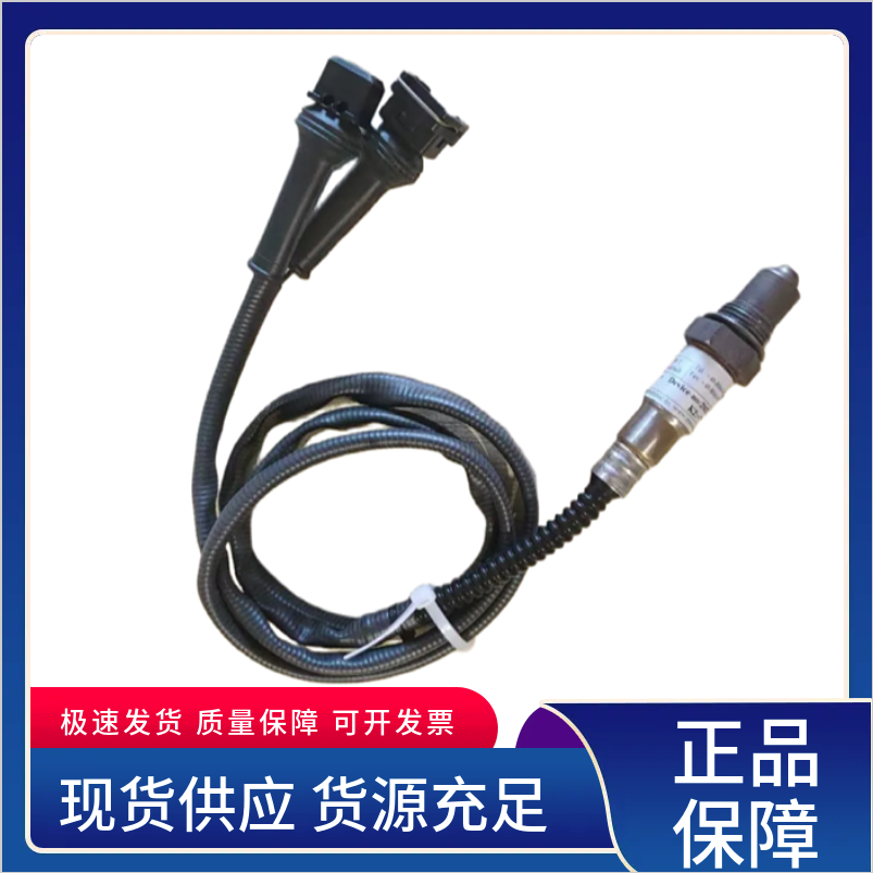 德国进口MESA氧探头 可更换探头芯 抗积碳能力强