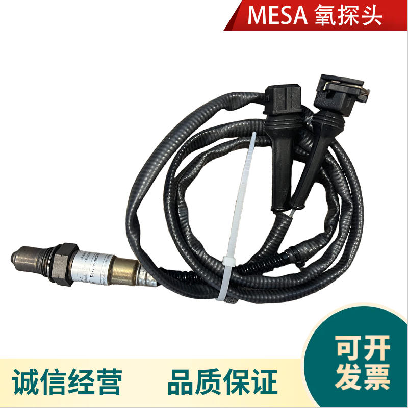 梅莎氧探头 易普森多用炉取样式氧探头