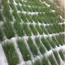 值草膜袋