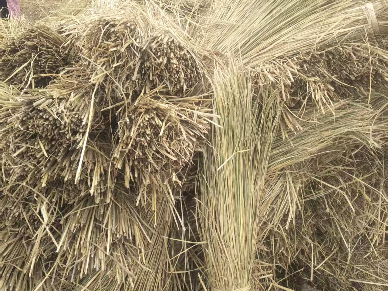 原料用的是新稻草还是陈稻草？