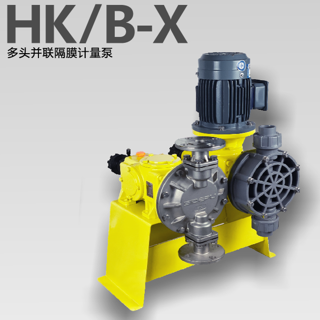 HK-B-X多头并联隔膜计量泵