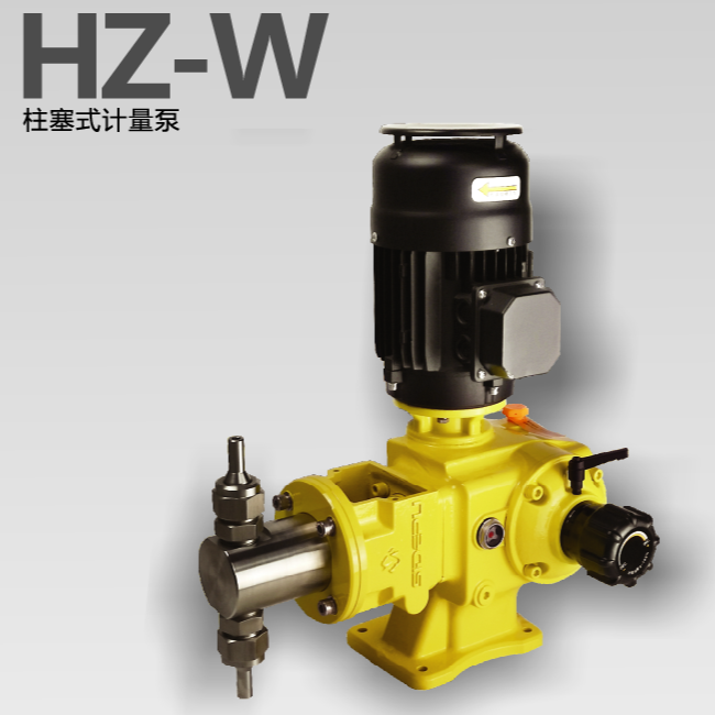 HZ-W柱塞式计量泵