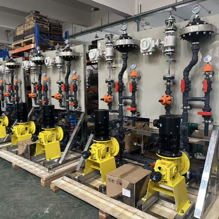 成套加药装置1000L/H 2泵2用型 案例